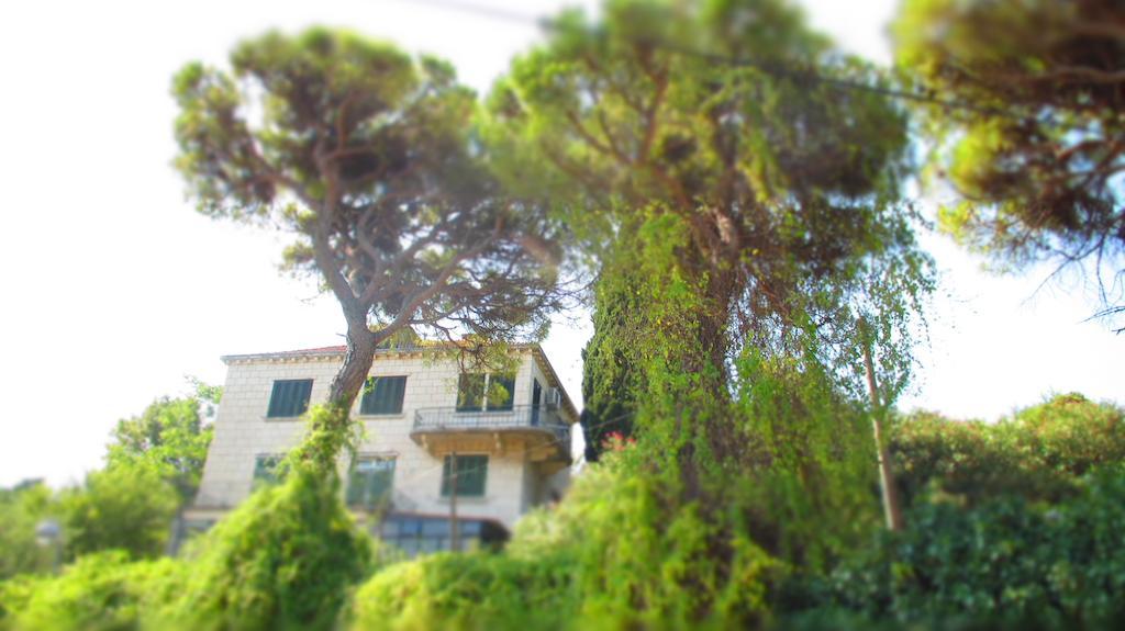 Apartment Dubrovnik Surprise Esterno foto